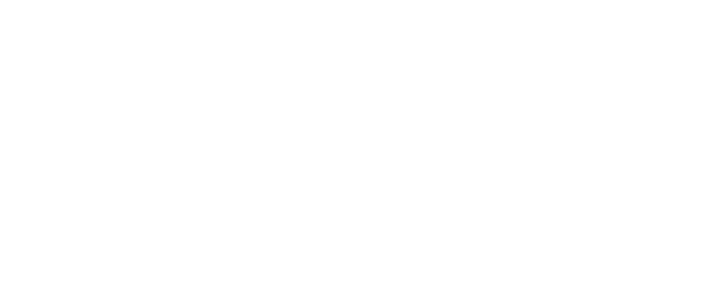 RACE Logo